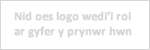 Llywodraeth Cymru / Welsh Government - Commercial Delivery logo